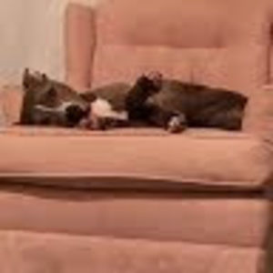 Meet your Posher, Lisa